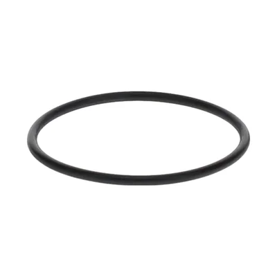 420650270 O-RING