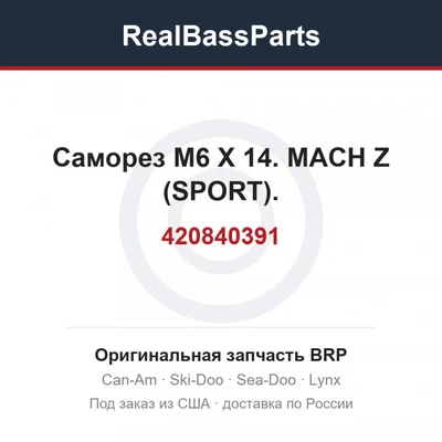 420840391 Саморез M6 X 14. MACH Z (SPORT).