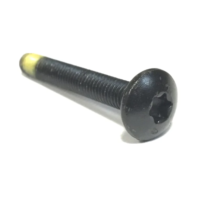 250000215 TORX-TRUSS M/S GM6047M NYLON PATCH Болт M6 X 45, фото 1