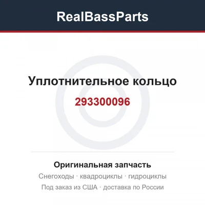 293300096 Уплотнительное кольцо