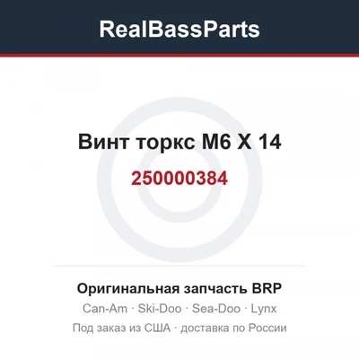 250000384 Винт торкс M6 X 14