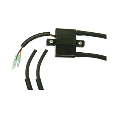 SM-01189 Катушка зажигания SPI Arctic Cat/Polaris 3005-409, 3006-534, 3006-692, 4010898