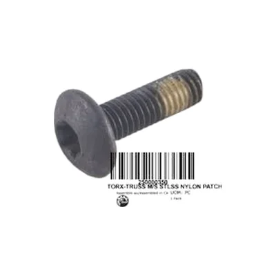 250000350 TORX-TRUSS M/S STLSS NYLON PATCH Болт M6 X 20
