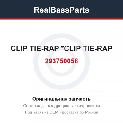 293750058 CLIP TIE-RAP   *CLIP TIE-RAP