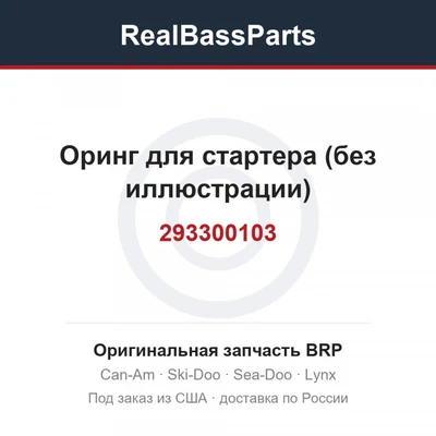 293300103 Оринг для стартера (без иллюстрации)