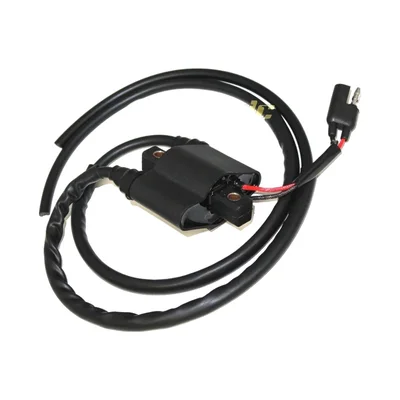 Катушка зажигания Polaris Sportsman 700/600 2004-2006 4010898