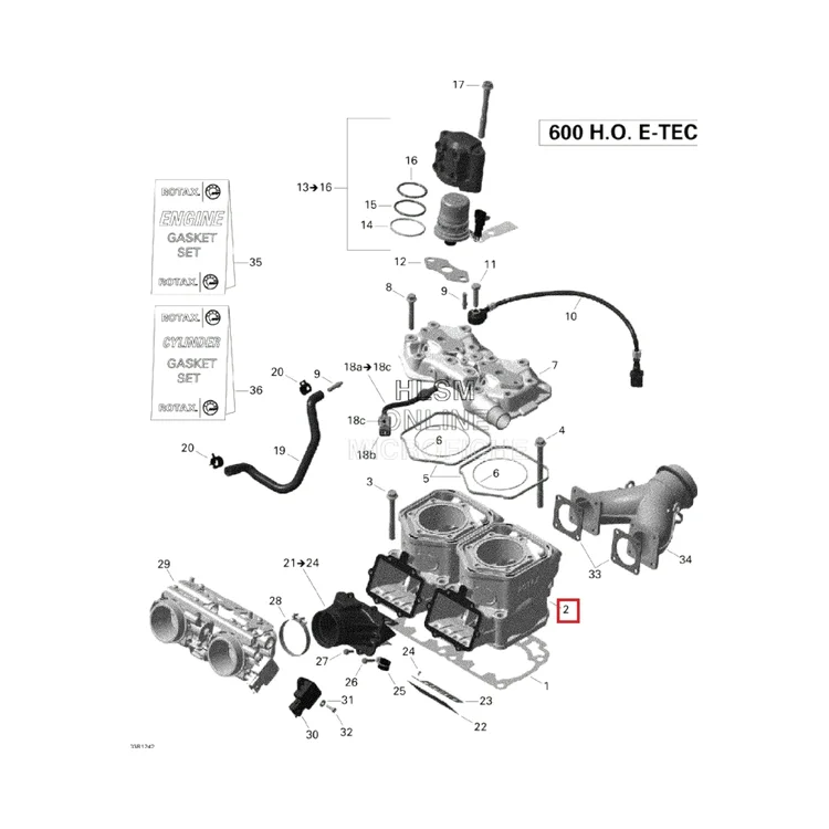 420623263 Цилиндр Ski-Doo 600 E-Tec, фото 1