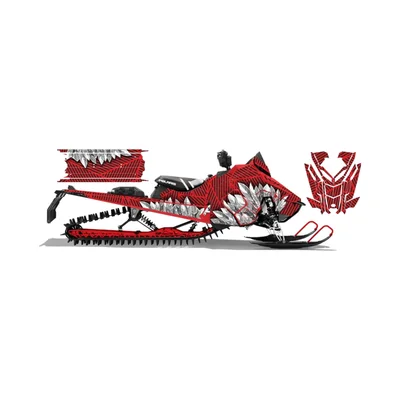 Наклейки для снегоходов Ski-Doo XM XP  Polaris RMK AXYS