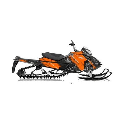 Наклейки для снегоходов Ski-Doo XM XP  Polaris RMK AXYS