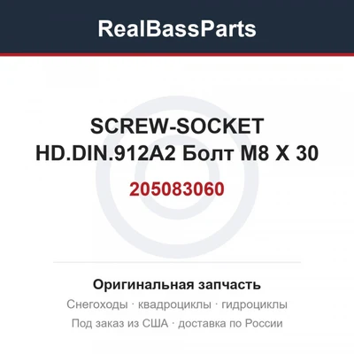 205083060 SCREW-SOCKET HD.DIN.912A2 Болт M8 X 30
