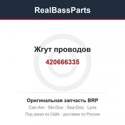 420666335 Жгут проводов