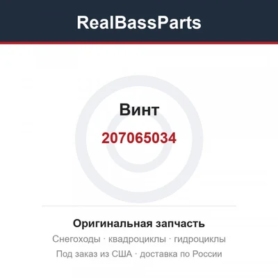 Винт 207065034
