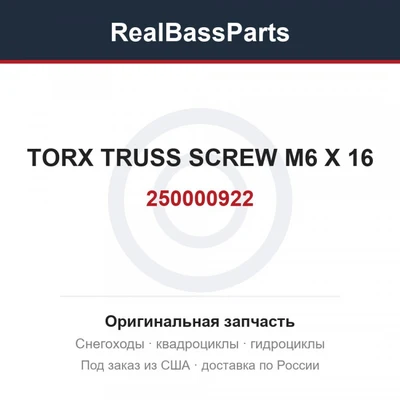 250000922 TORX TRUSS SCREW M6 X 16