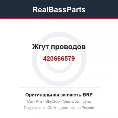 420666579 Жгут проводов