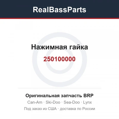 250100000 Нажимная гайка