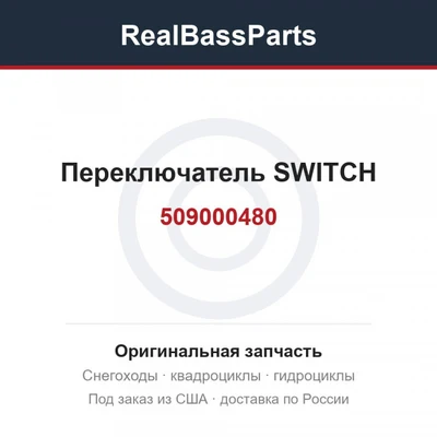 509000480 Переключатель SWITCH