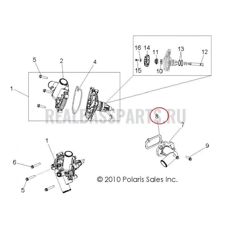 5813980 Прокладка водянной трубки для квадроциклов Polaris RZR 2011-2014" 900 5813742, фото 2