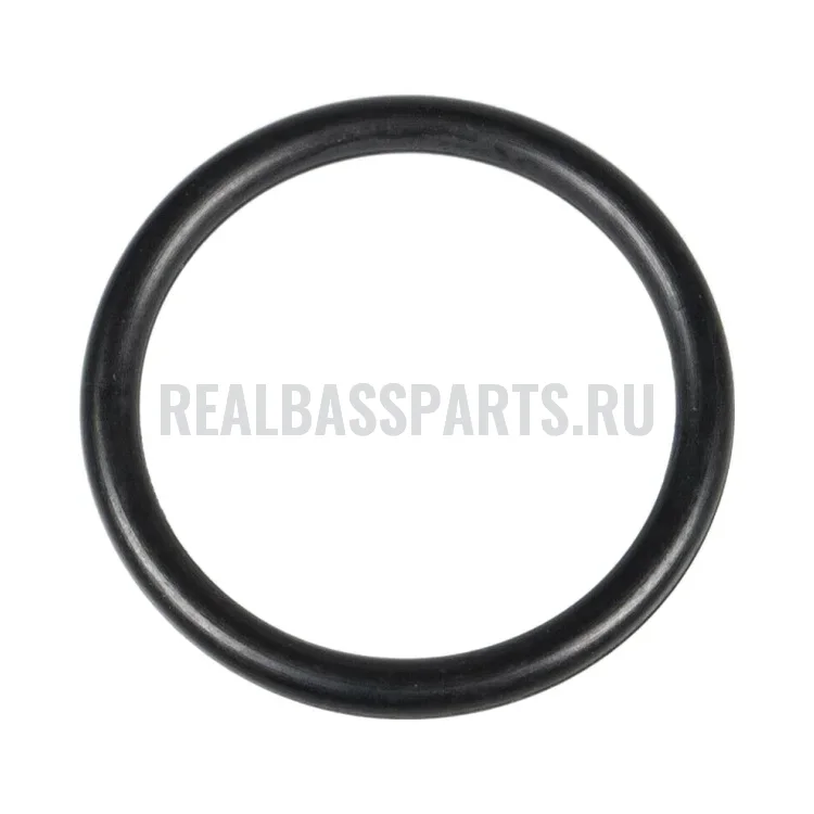 5411411 Прокладка свечного колодца Polaris O-RING, фото 1