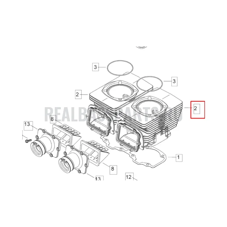 Цилиндр снегохода Ski-Doo 550F Expedition/Skandic/MX Z/GTX/GSX/Summit 420923978 420923974, фото 1