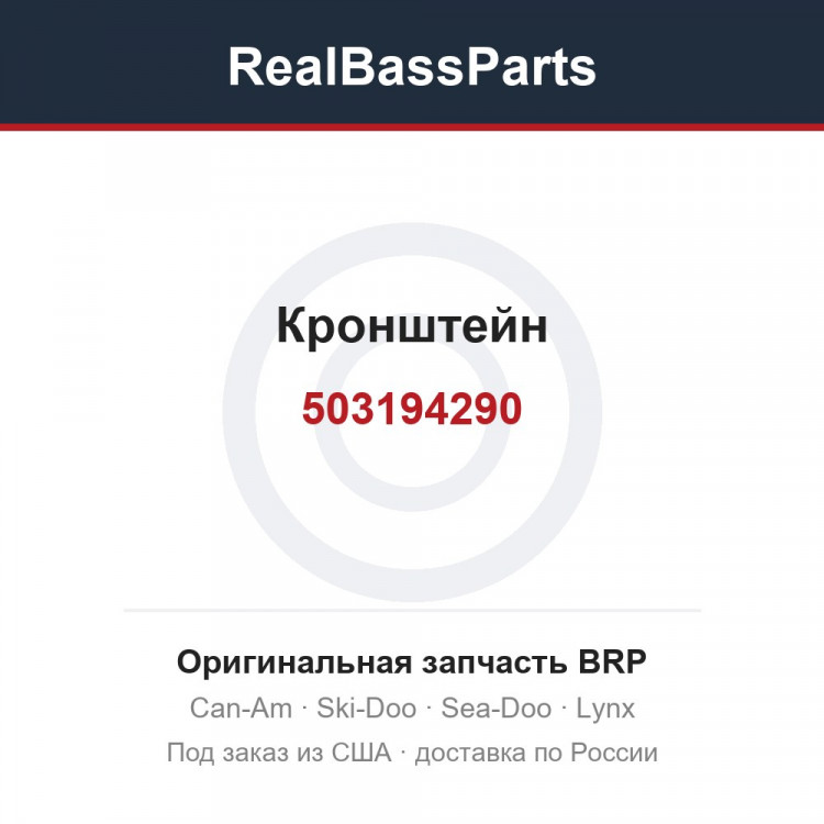 503194290 Кронштейн