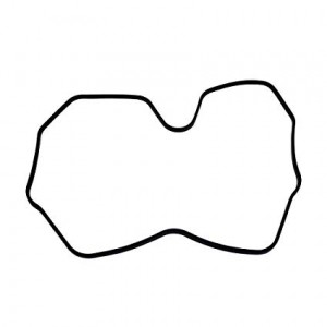 420430040 Прокладка Ski-Doo