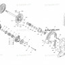 417224167 Пружина сцепления