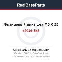 420841546 Фланцевый винт torx M6 X 25