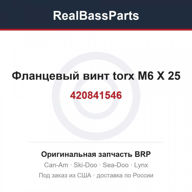 420841546 Фланцевый винт torx M6 X 25