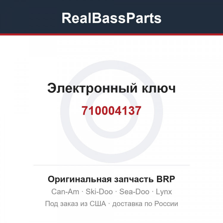 710004137 Электронный ключ