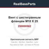 250000562 Винт с шестигранным фланцем M10 X 25