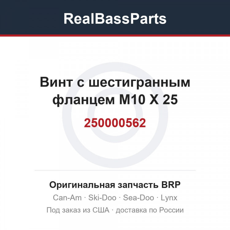 250000562 Винт с шестигранным фланцем M10 X 25