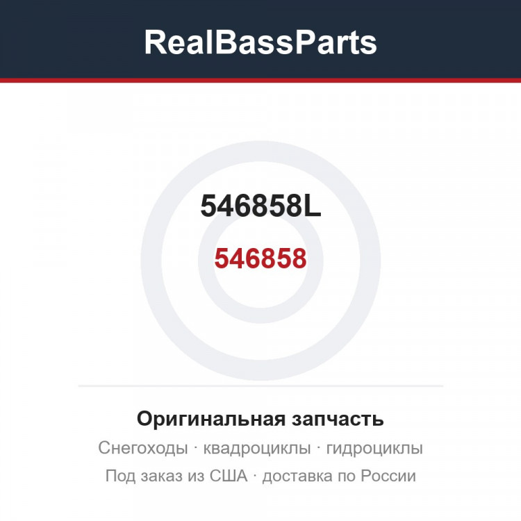 546858L