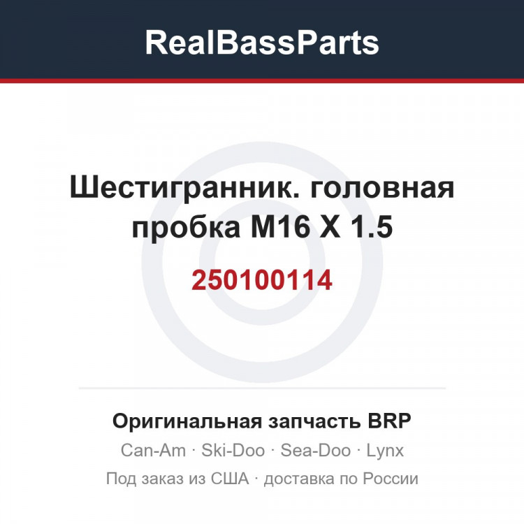 250100114 Шестигранник. головная пробка M16 X 1.5