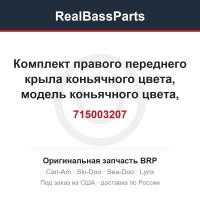 715003207 Комплект правого переднего крыла коньячного цвета, модель коньячного цвета, кроме Северной Америки