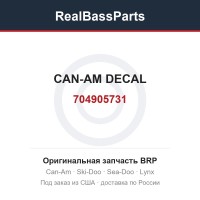 704905731 CAN-AM DECAL