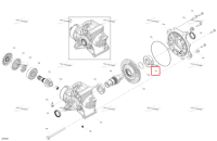 Шарикоподшипник Can-Am Outlander 4x4 DPS 700 (2025) (705503365)