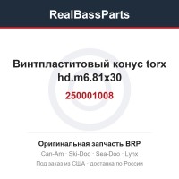 250001008 Винтпластитовый конус torx hd.m6.81x30