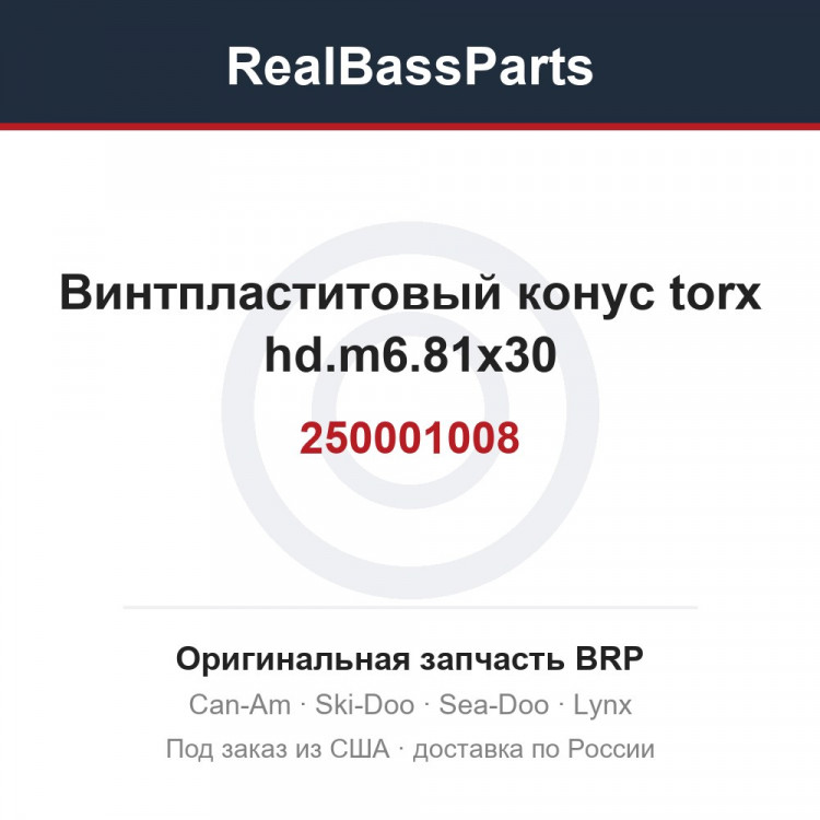 250001008 Винтпластитовый конус torx hd.m6.81x30