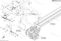 509000556 BOYAU RADIATEUR*HOSE-RADIATOR  Резиновый шланг радиатора
