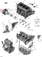 Torx винт фланцевый M8 × 25 Sea-Doo Spark (2016) (420641248)