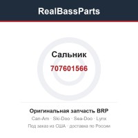 707601566 Сальник