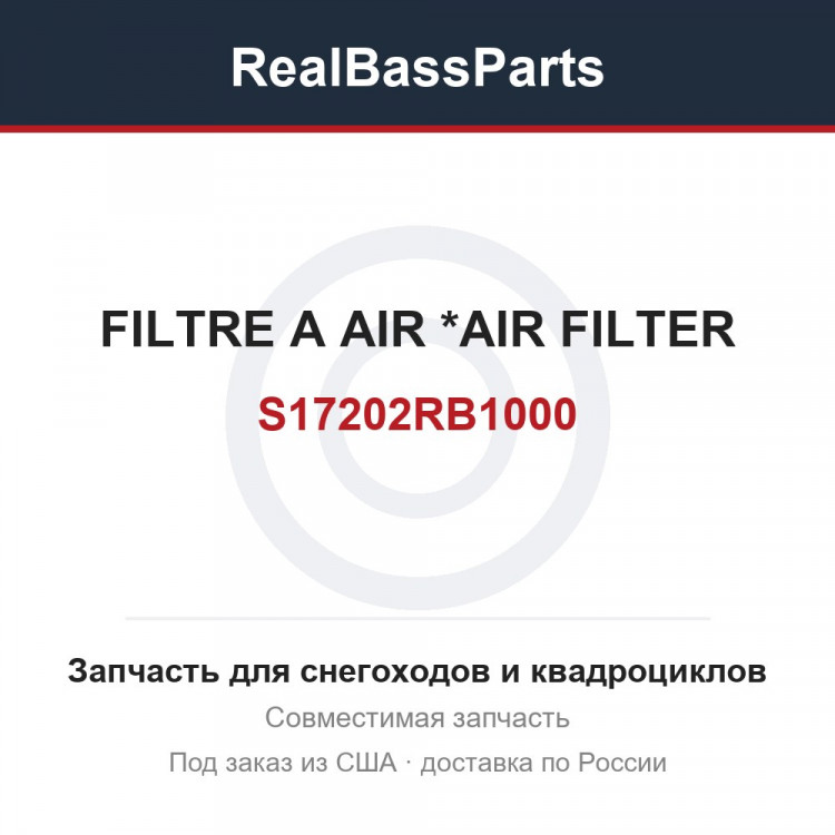 S17202RB1000 FILTRE A AIR   *AIR FILTER
