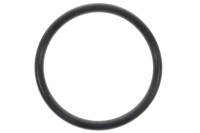 420631089 O-RING