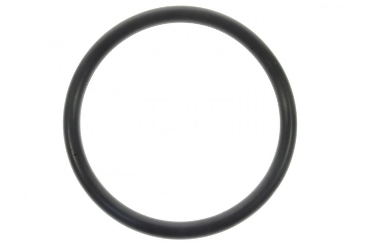420631089 O-RING