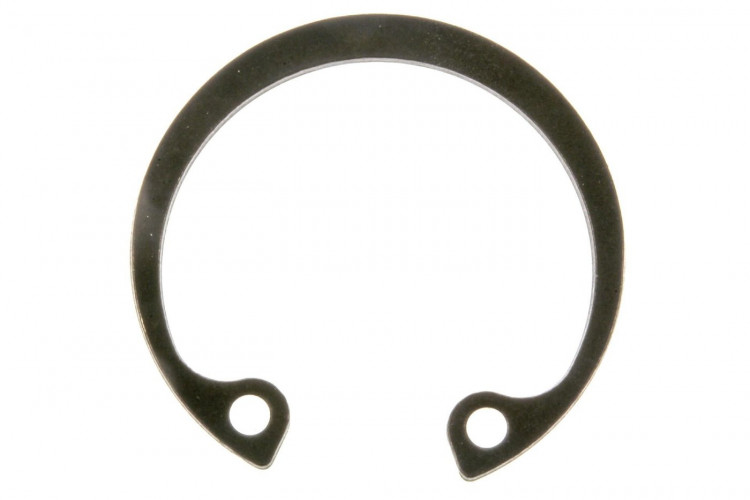 715900102 SNAP RING