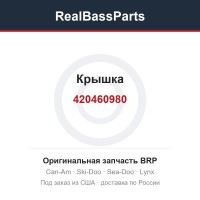 420460980 Крышка