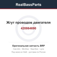 420864690 Жгут проводов двигателя