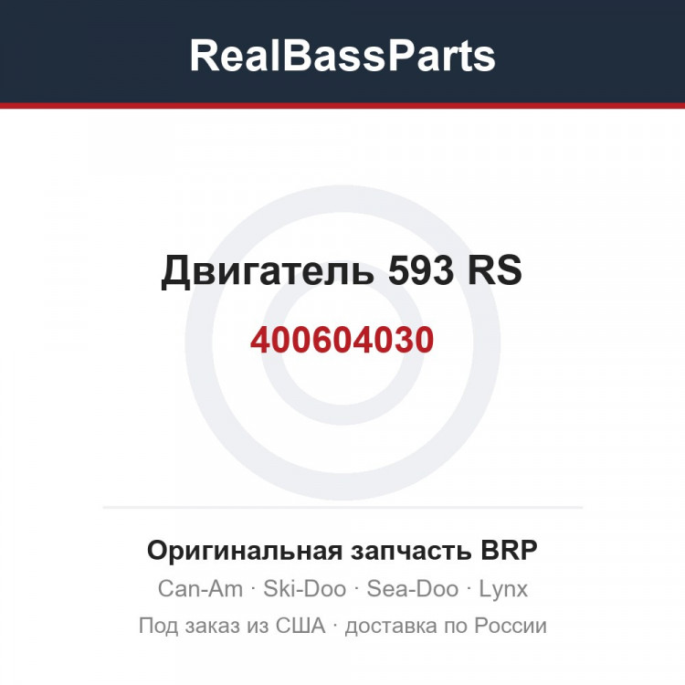 400604030 Двигатель 593 RS