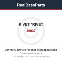 36037 RIVET          *RIVET