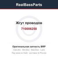 710006258 Жгут проводов